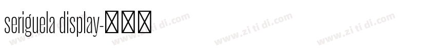 seriguela display字体转换